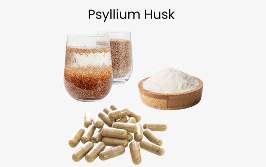 Different Forms of Whole Psyllium Husk Supplements: Powder, Capsules and Blocks