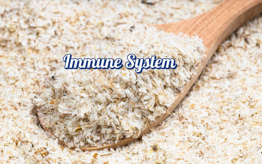 How Isabgol Bhusi Consumption Strengthens Your Immune System Naturally?