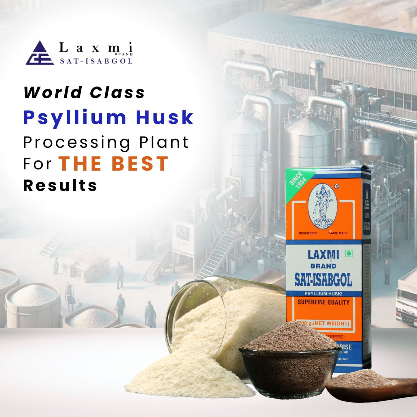 World Class Psyllium Husk Processing Plant for the Best Results